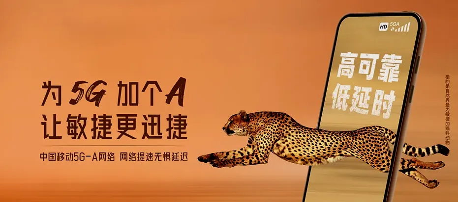淮上区淮上区沫河口镇 移动宽带