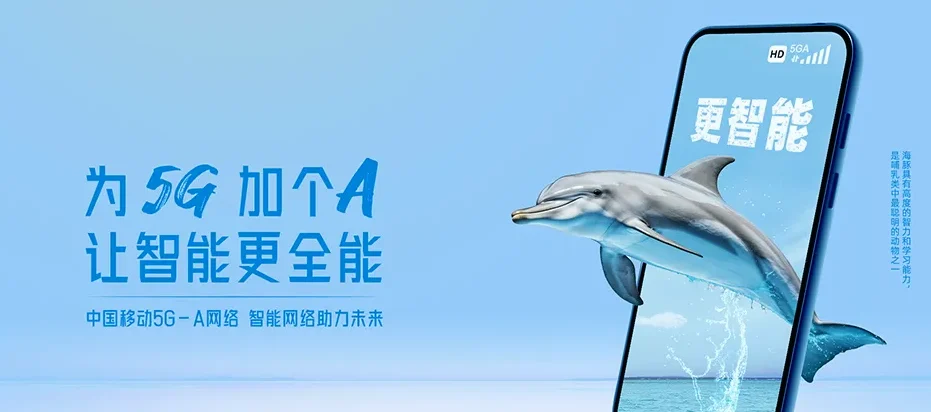 淮上区淮上区淮滨街道 移动宽带